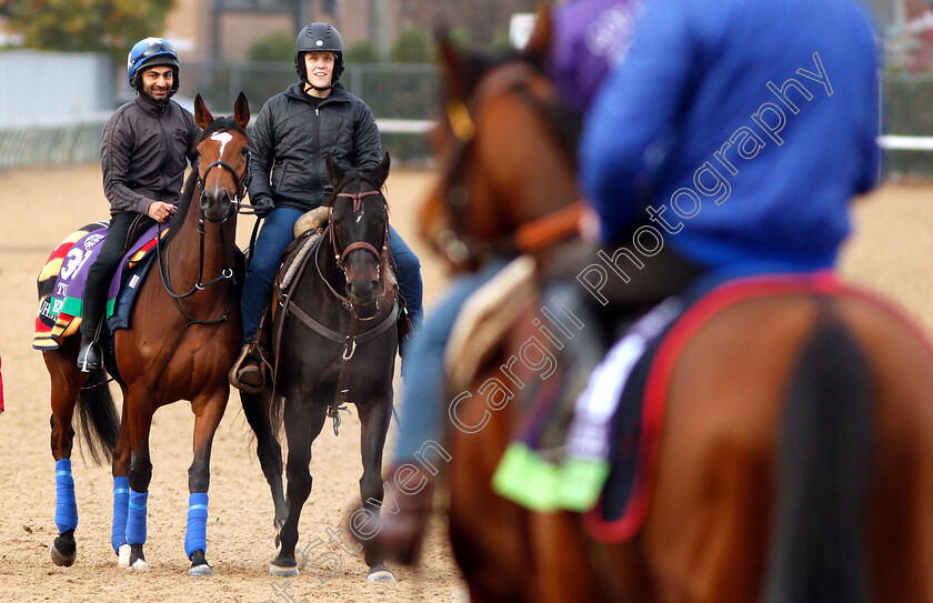 Enable-0002 
 ENABLE exercising ahead of the Breeders' Cup Turf
Churchill Downs 30 Oct 2018 - Pic Steven Cargill / Racingfotos.com