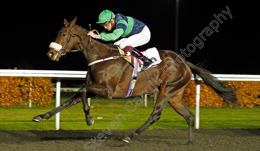 Auria-0002 
 AURIA (Rob Hornby) wins The Unibet 3 Uniboosts A Day EBF Fillies Novice Stakes Div1
Kempton 11 Nov 2020 - Pic Steven Cargill / Racingfotos.com