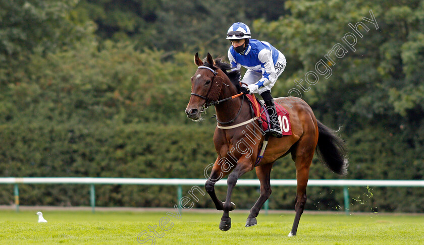 Vintage-Brut-0001 
 VINTAGE BRUT (Phil Dennis)
Haydock 4 Sep 2020 - Pic Steven Cargill / Racingfotos.com