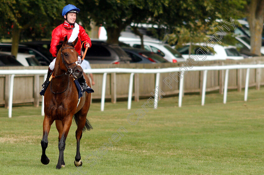 Veracious-0012 
 VERACIOUS (Oisin Murphy) after The Tattersalls Falmouth Stakes
Newmarket 12 Jul 2019 - Pic Steven Cargill / Racingfotos.com