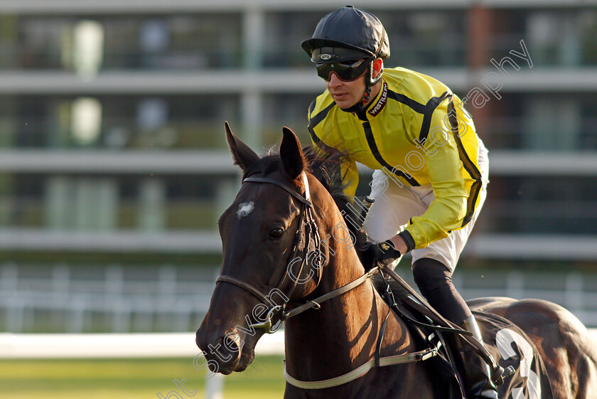 Dance-Of-Dragons-0001 
 DANCE OF DRAGONS (Charles Bishop)
Newbury 22 Jul 2021 - Pic Steven Cargill / Racingfotos.com