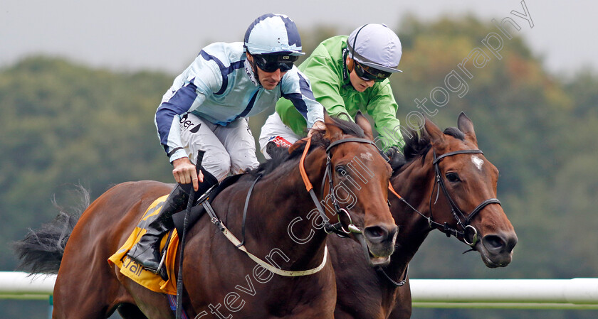 Epic-Poet-0002 
 EPIC POET (left, Daniel Tudhope) beats WAXING GIBBOUS (right) in The Betfair Old Borough Cup
Haydock 7 Sep 2024 - Pic Steven Cargill / Racingfotos.com