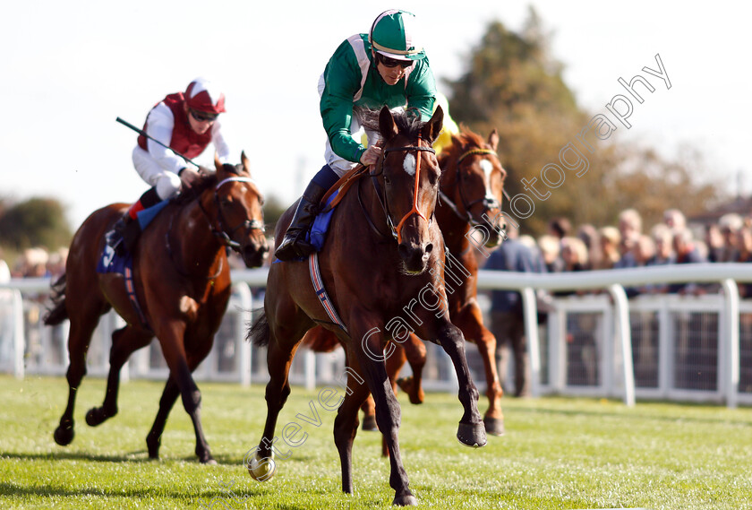 Kaloor-0005 
 KALOOR (Jim Crowley) wins The PKF Francis Clark EBF Novice Stakes Div1
Salisbury 3 Oct 2018 - Pic Steven Cargill / Racingfotos.com