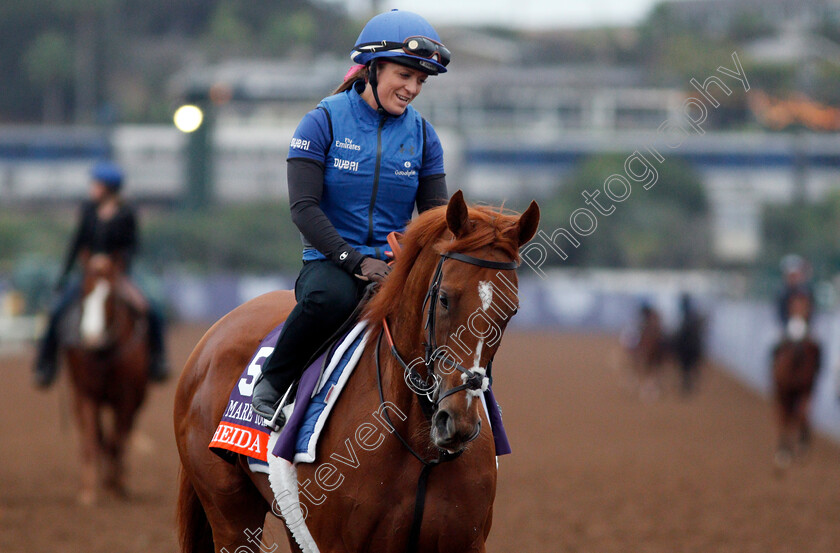 Wuheida-0001 
 WUHEIDA training for The Breeders' Cup Filly and Mare Turf at Del Mar USA, 1 Nov 2017 - Pic Steven Cargill / Racingfotos.com