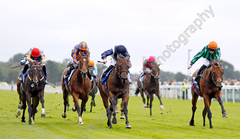 Celandine-0002 
 CELANDINE (centre, Tom Marquand) beats TIME FOR SANDALS (right) HEAVENS GATE (2nd left) LEOVANNI (left) in The Sky Bet Lowther Stakes
York 22 Aug 2024 - Pic Steven Cargill / Racingfotos.com