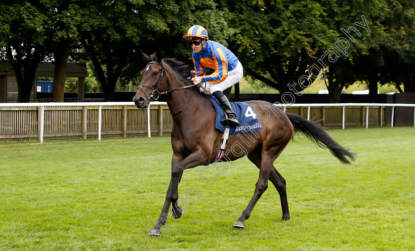 Island-Hopping-0001 
 ISLAND HOPPING (Pat Cosgrave)
Newmarket 10 Aug 2024 - Pic Steven Cargill / Racingfotos.com