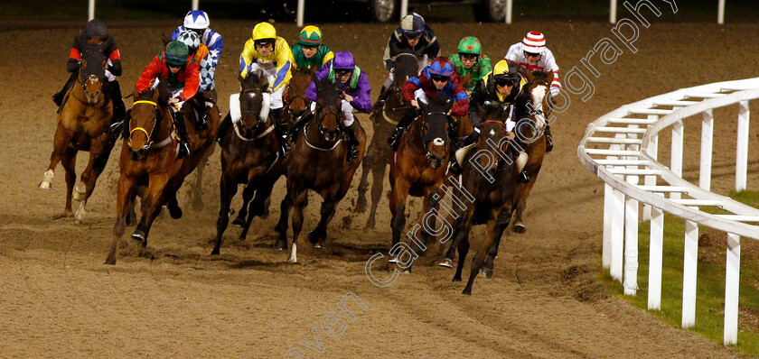 Breaking-Records-0003 
 BREAKING RECORDS (2nd right, Ray Dawson) beats HUMAN NATURE (right) in The £20 Free Bets At totesport.com Apprentice Handicap
Chelmsford 29 Nov 2018 - Pic Steven Cargill / Racingfotos.com