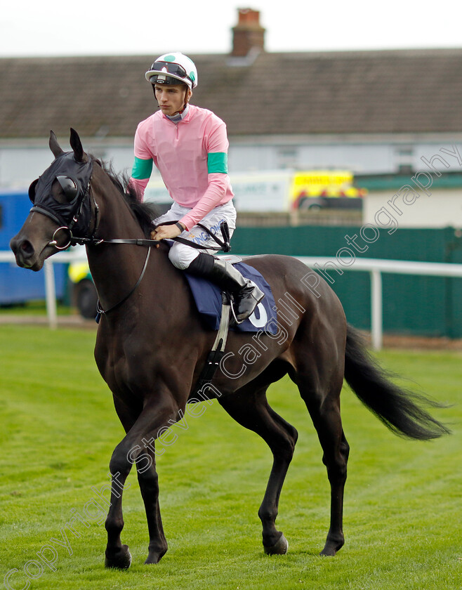 Serendipitous-Lady-0005 
 SERENDIPITOUS LADY (Harry Davies) winner of The Download The Brestbet App Nursery
Yarmouth 16 Oct 2023 - Pic Steven Cargill / Racingfotos.com