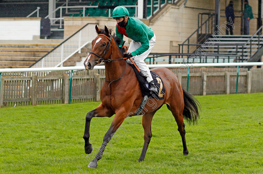 Cholmondeley-0001 
 CHOLMONDELEY (James Doyle)
Newmarket 31 Oct 2020 - Pic Steven Cargill / Racingfotos.com