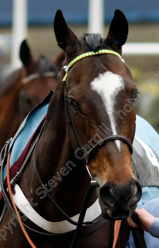 Jonbon-0012 
 JONBON winner of The Betmgm Clarence House Chase
Ascot 18 Jan 2025 - Pic Steven Cargill / Racingfotos.com