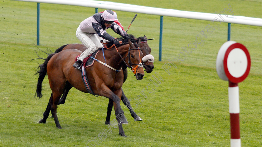 Lord-Of-The-Rock-0005 
 LORD OF THE ROCK (Graham Lee) wins The Betway Stubshaw Cross Handicap
Haydock 27 Apr 2019 - Pic Steven Cargill / Racingfotos.com