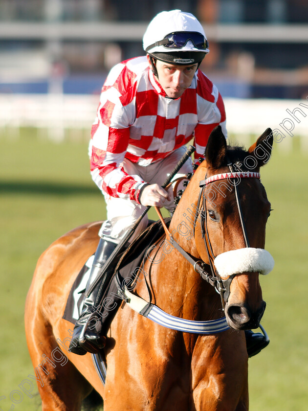 Sevarano-0002 
 SEVARANO (Leighton Aspell)
Newbury 30 Nov 2018 - Pic Steven Cargill / Racingfotos.com