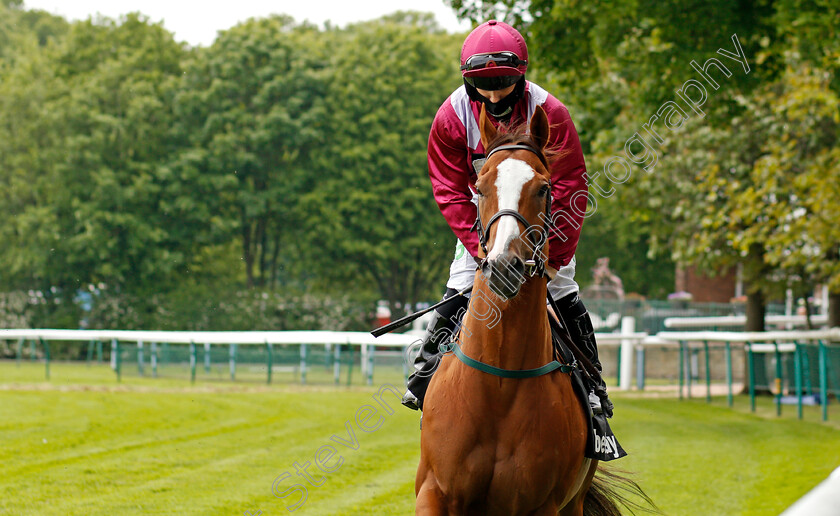 El-Astronaute-0002 
 EL ASTRONAUTE (Jason Hart)
Haydock 29 May 2021 - Pic Steven Cargill / Racingfotos.com