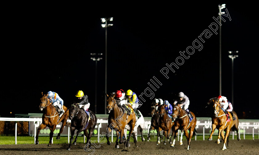 Poker-Face-0003 
 POKER FACE (centre, Harry Davies) wins The Unibet Hyde Stakes
Kempton 4 Dec 2024 - pic Steven Cargill / Racingfotos.com