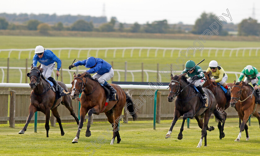 Dhahabi-0004 
 DHAHABI (2nd left, William Buick) beats AMTIYAZ (right) and GLOBAL HEAT (left) in The Weatherbys Stallion Book Handicap
Newmarket 22 Sep 2022 - Pic Steven Cargill / Racingfotos.com