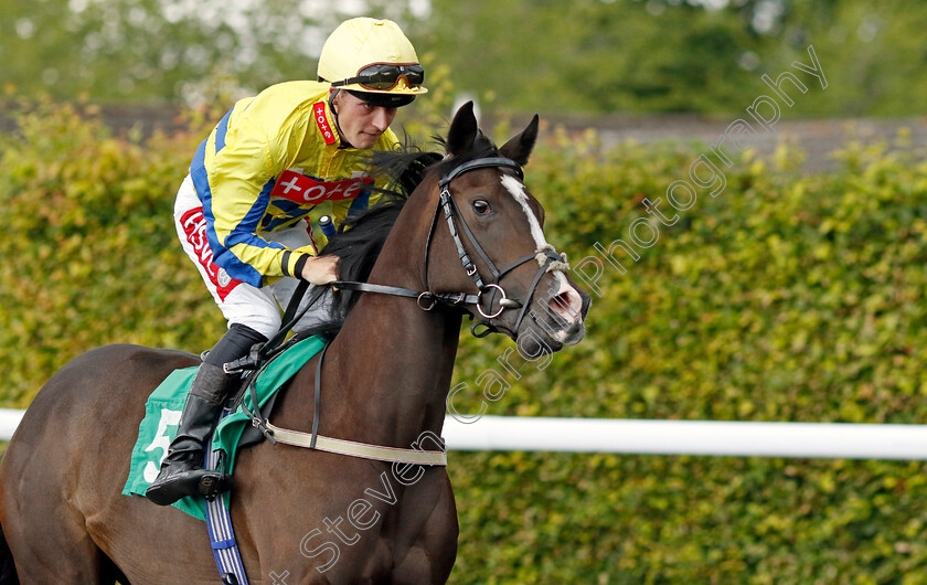 Forager-0001 
 FORAGER (Tyler Heard)
Kempton 16 Jul 2024 - Pic Steven Cargill / Racingfotos.com