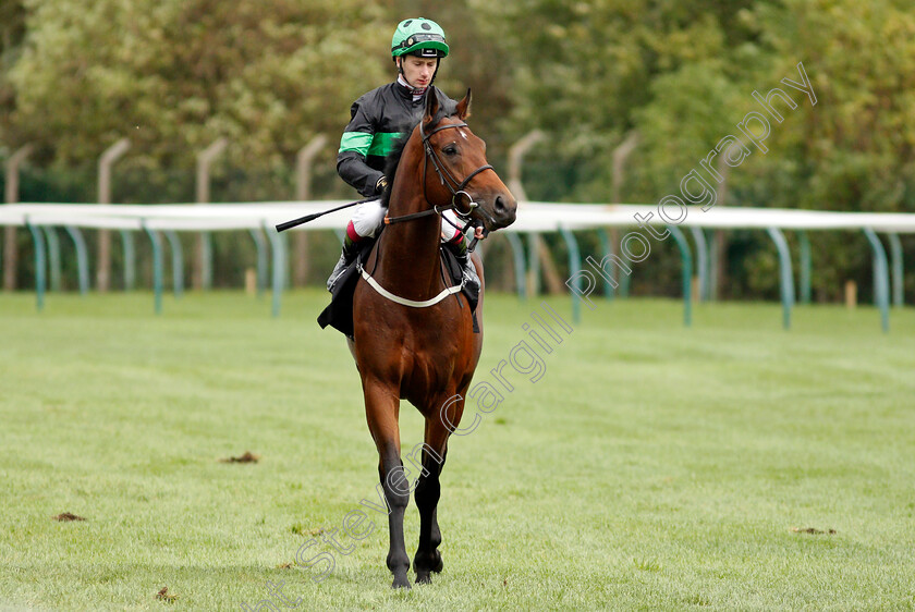 Legendary-Day-0002 
 LEGENDARY DAY (Oisin Murphy) 
Nottingham 13 Oct 2021 - Pic Steven Cargill / Racingfotos.com