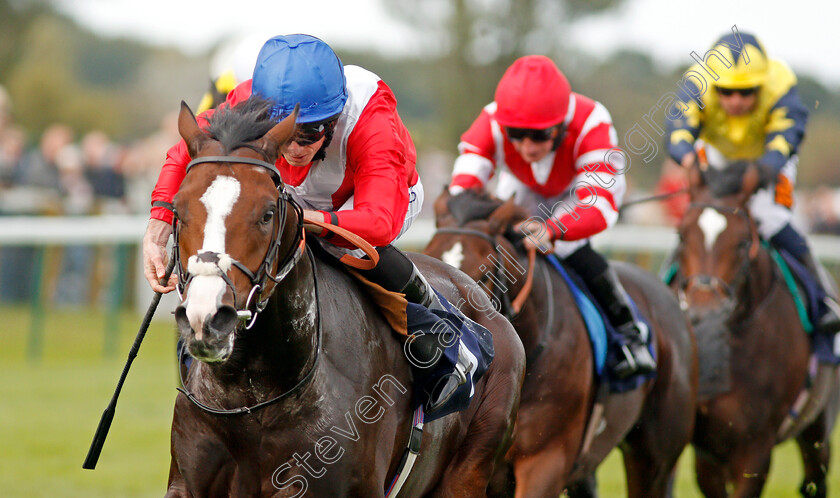 Regal-Reality-0008 
 REGAL REALITY (Ryan Moore) wins The Hobgoblin Legendary Ruby Ale EBF Maiden Stakes Div2 Yarmouth 20 Sep 2017 - Pic Steven Cargill / Racingfotos.com