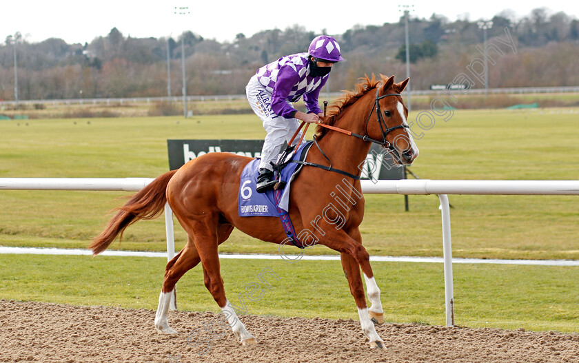 Mums-Tipple-0002 
 MUMS TIPPLE (Ryan Moore) winner of The Bombardier Lady Wulfruna Stakes
Wolverhampton 13 Mar 2021 - Pic Steven Cargill / Racingfotos.com