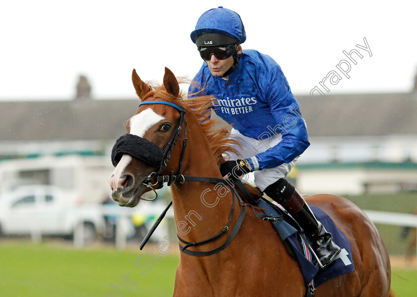 Red-Joan-0002 
 RED JOAN (Robert Havlin)
Yarmouth 14 Sep 2021 - Pic Steven Cargill / Racingfotos.com