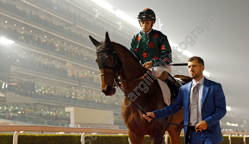 Furia-Cruzada-0001 
 FURIA CRUZADA (Aontonio Fresu) Meydan 8 Feb 2018 - Pic Steven Cargill / Racingfotos.com