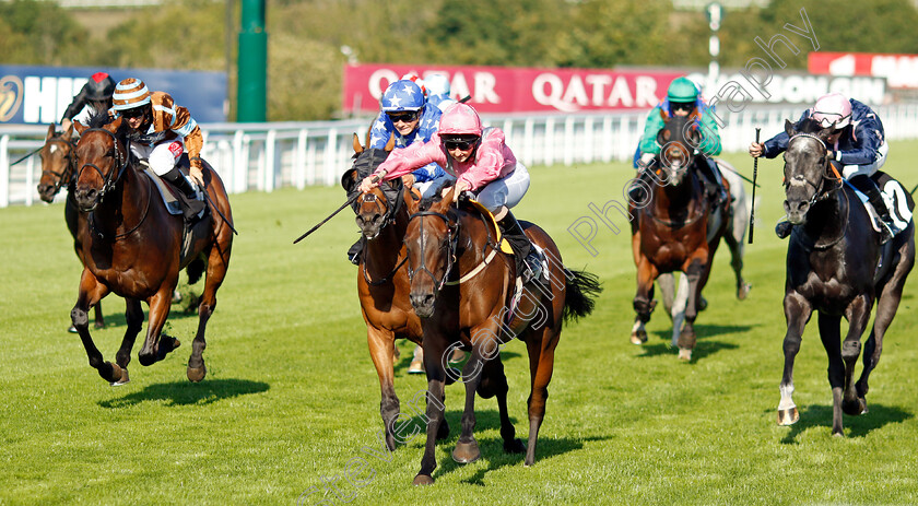 Firenze-Rose-0003 
 FIRENZE ROSA (Gina Mangan) wins The William Hill Handicap
Goodwood 26 Aug 2022 - Pic Steven Cargill / Racingfotos.com