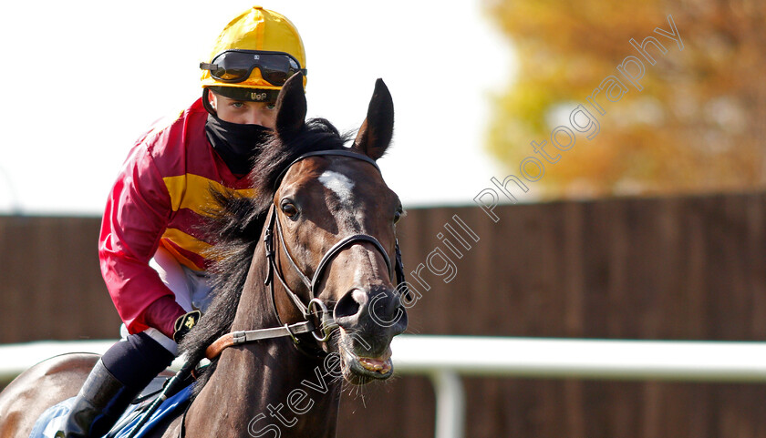 Jaramillo-0003 
 JARAMILLO (Hollie Doyle) winner of The Racecourse Live Streams On Racingtv Extra Novice Stakes
Leicester 24 Apr 2021 - Pic Steven Cargill / Racingfotos.com