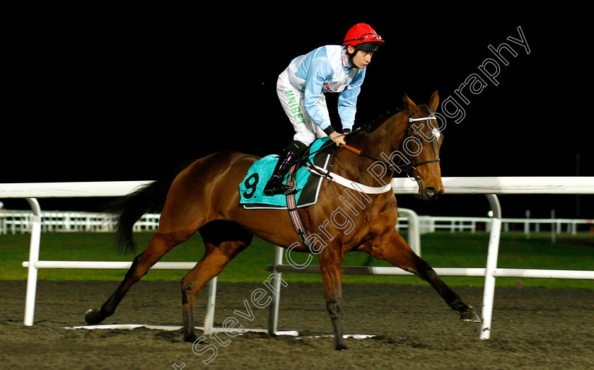 Verdana-Blue-0002 
 VERDANA BLUE (Luke Morris)
Kempton 5 Dec 2018 - Pic Steven Cargill / Racingfotos.com