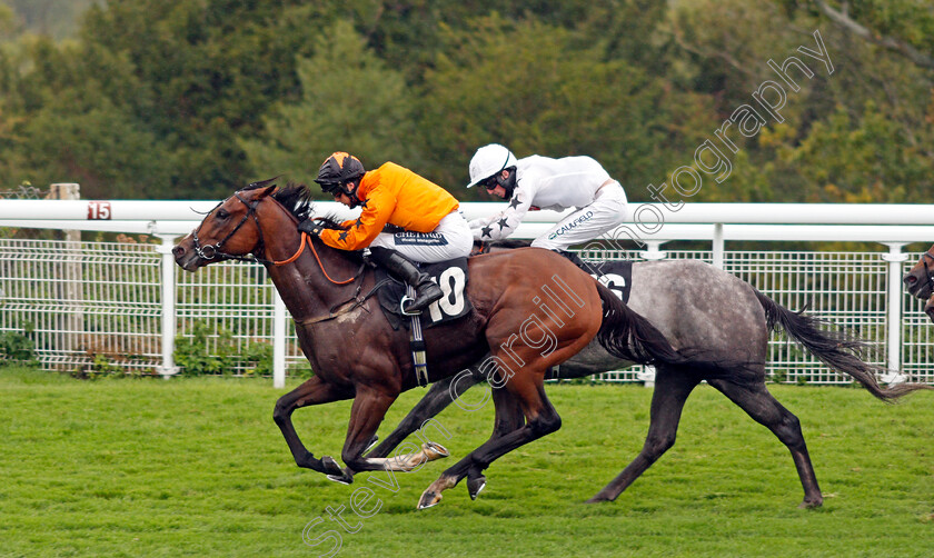 Snow-Ocean-0006 
 SNOW OCEAN (Harry Bentley) wins The Join tote.co.uk With £10 Risk Free Handicap
Goodwood 23 Sep 2020 - Pic Steven Cargill / Racingfotos.com