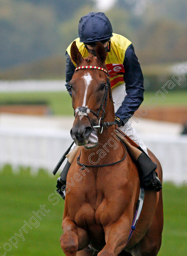 Cadeau-D Or-0001 
 CADEAU D'OR (Oisin Murphy)
Ascot 2 Oct 2020 - Pic Steven Cargill / Racingfotos.com