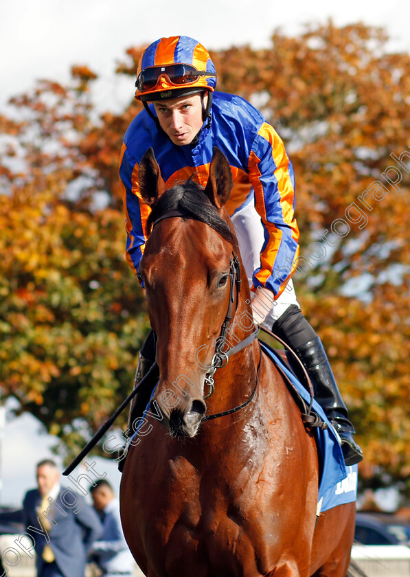 Aesop s-Fables-0001 
 AESOP'S FABLES (Ryan Moore)
Newmarket 8 Oct 2022 - Pic Steven Cargill / Racingfotos.com