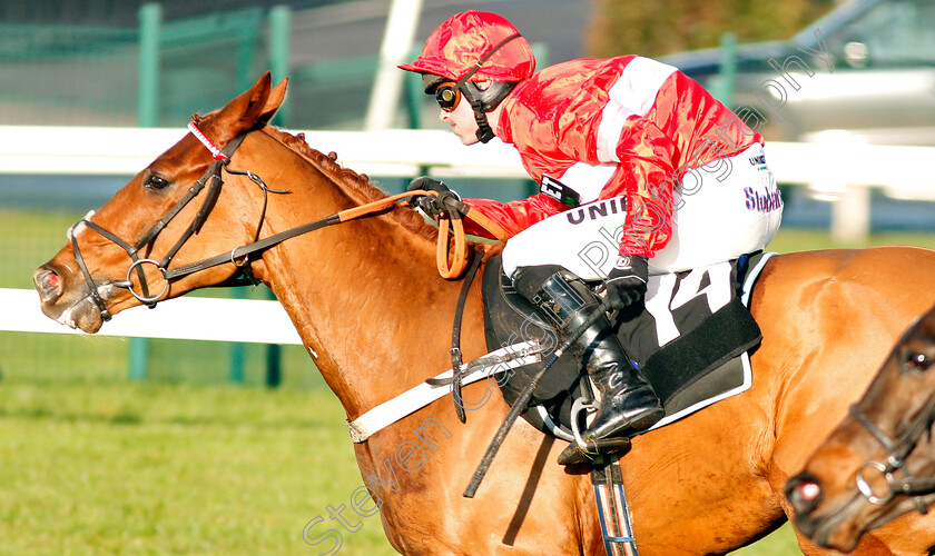 Son-Of-Camas-0004 
 SON OF CAMAS (Nico de Boinville) wins The Ladbrokes National Hunt Maiden Hurdle
Newbury 29 Nov 2019 - Pic Steven Cargill / Racingfotos.com