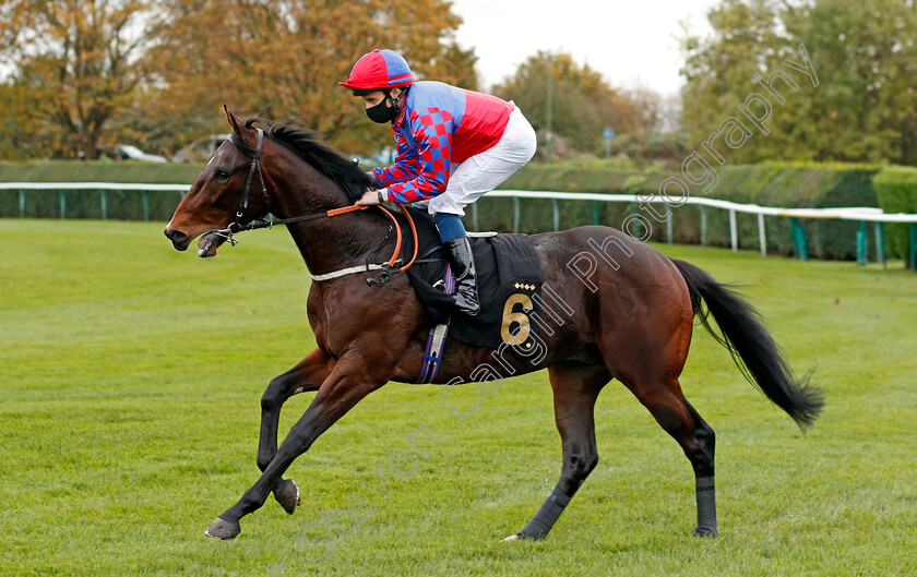 Bedford-Flyer-0001 
 BEDFORD FLYER (William Buick)
Nottingham 28 Oct 2020 - Pic Steven Cargill / Racingfotos.com