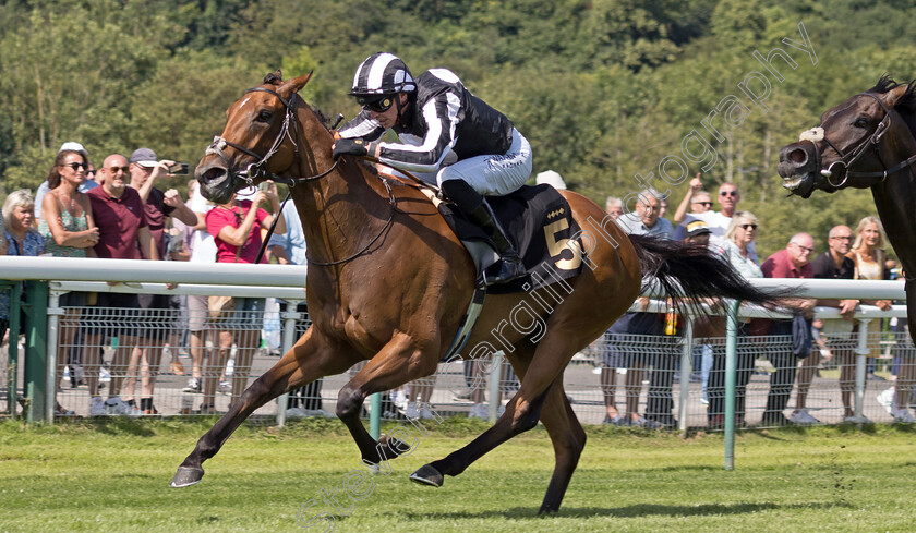 Dance-And-Romance-0005 
 DANCE AND ROMANCE (James Doyle) wins The Rhino.bet Proudly Sponsor Josephine Gordon Handicap
Nottingham 19 Jul 2024 - Pic Steven Cargill / Megan Dent / Racingfotos.com