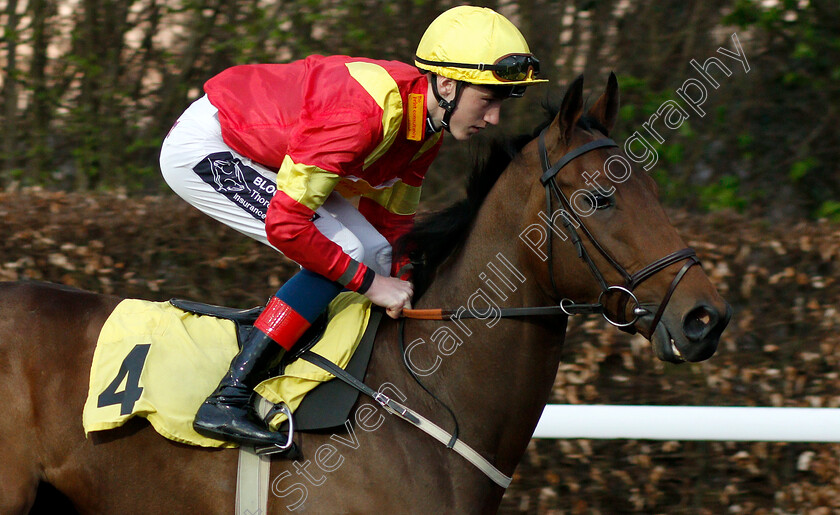 Vallachy-0001 
 VALLACHY (David Egan)
Kempton 23 Mar 2019 - Pic Steven Cargill / Racingfotos.com