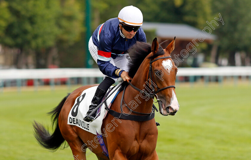 Mollie-Foster-0001 
 MOLLIE FOSTER (Stephane Pasquier)
Deauville 3 Aug 2024 - Pic Steven Cargill / Racingfotos.com