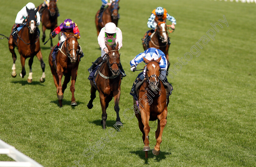 Cleonte-0004 
 CLEONTE (Silvestre De Sousa) wins The Queen Alexandra Stakes
Royal Ascot 22 Jun 2019 - Pic Steven Cargill / Racingfotos.com