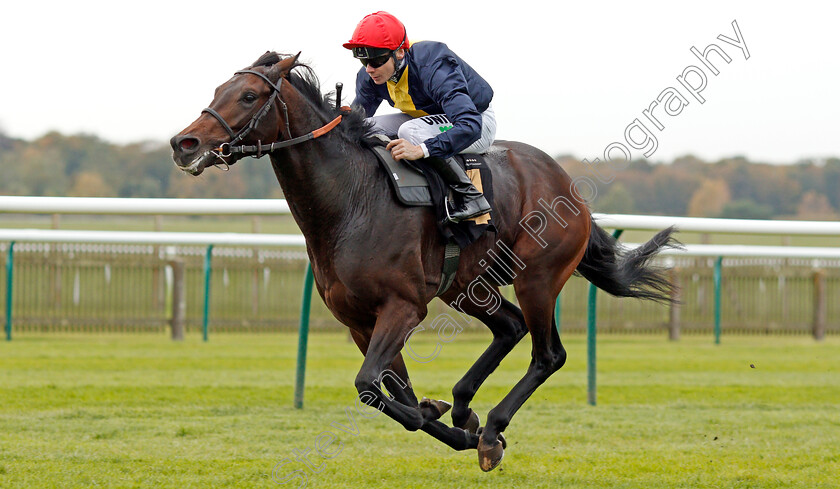 Brentford-Hope-0006 
 BRENTFORD HOPE (Jamie Spencer) wins The Coates & Seely Brut Reserve Maiden Stakes
Newmarket 23 Oct 2019 - Pic Steven Cargill / Racingfotos.com