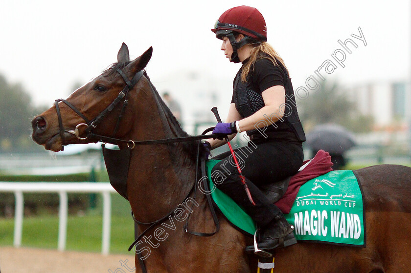 Magic-Wand-0001 
 MAGIC WAND training for The Dubai Sheema Classic
Meydan 28 Mar 2019 - Pic Steven Cargill / Racingfotos.com