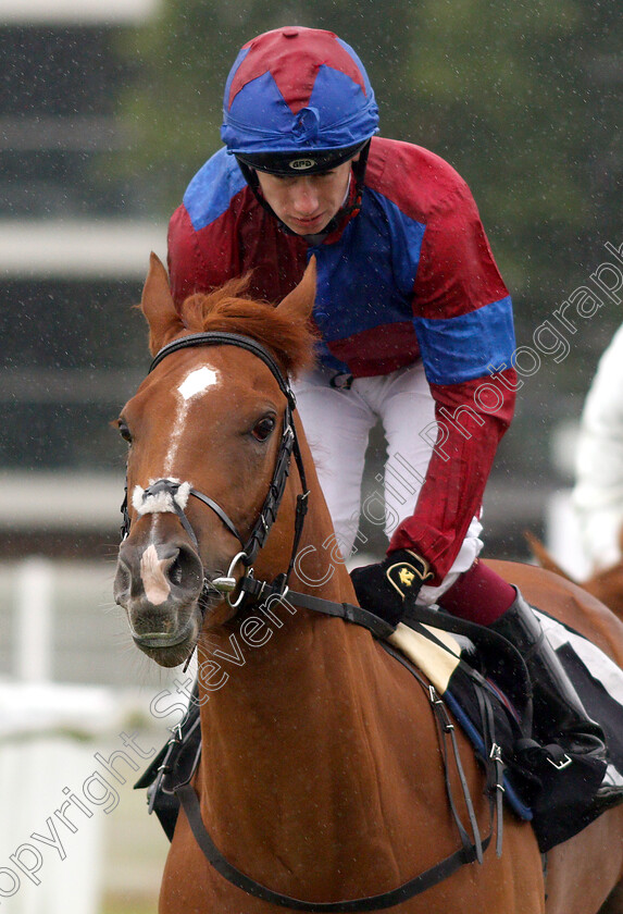 Beauty-Of-Deira-0001 
 BEAUTY OF DEIRA (Oisin Murphy)
Newbury 13 Jun 2019 - Pic Steven Cargill / Racingfotos.com