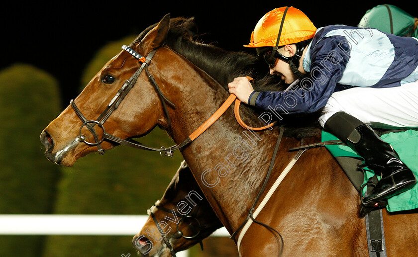 Madame-Tantzy-0008 
 MADAME TANTZY (Charles Bishop) wins The 32Red On The App Store Fillies Novice Stakes Div2
Kempton 23 Mar 2019 - Pic Steven Cargill / Racingfotos.com