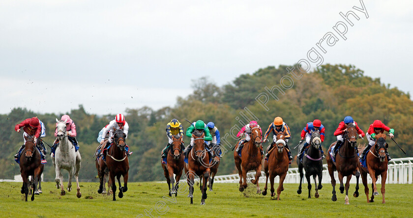 One-Master-0001 
 ONE MASTER (centre, Martin Harley) beats ETERNALLY (2nd right) in The Totepool British EBF October Stakes Ascot 7 Oct 2017 - Pic Steven Cargill / Racingfotos.com