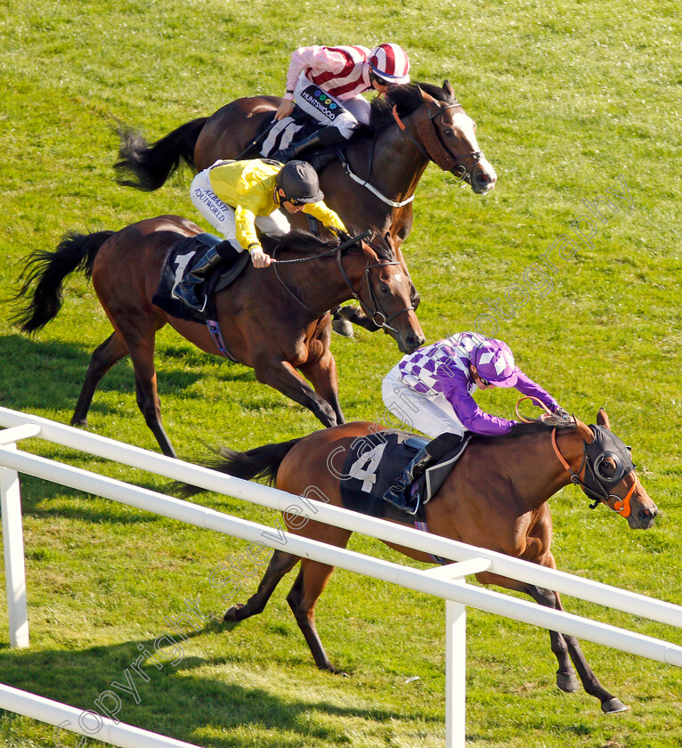 Separate-0004 
 SEPARATE (James Doyle) wins The Dubai Duty Free Nursery
Newbury 20 Spe 2019 - Pic Steven Cargill / Racingfotos.com