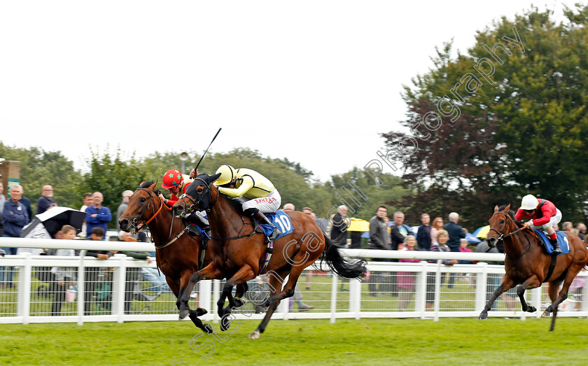 Unique-Cut-0001 
 UNIQUE CUT (Robert Havlin) beats WONDER ELMOSSMAN (farside) in The Sorvio Insurance Brokers Novice Stakes Div1
Salisbury 12 Aug 2021 - Pic Steven Cargill / Racingfotos.com