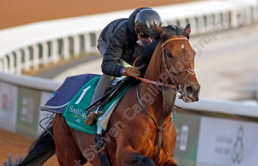 Cafe-Pharoah-0002 
 CAFE PHAROAH training for The Saudi Cup
King Abdulaziz Racecourse, Kingdom of Saudi Arabia, 22 Feb 2023 - Pic Steven Cargill / Racingfotos.com