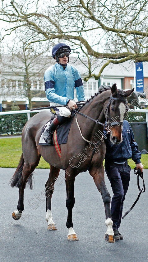 Crievehill-0001 
 CRIEVEHILL (Sam Twiston-Davies)
Ascot 21 Dec 2019 - Pic Steven Cargill / Racingfotos.com