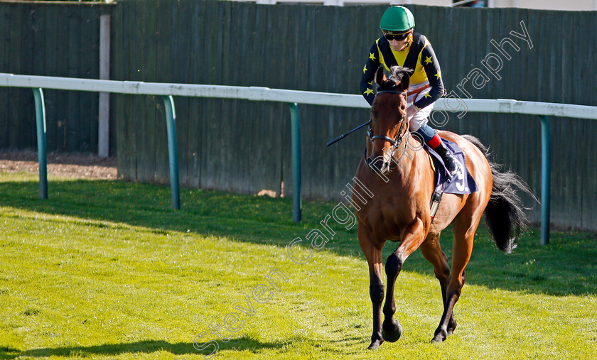 Zamjar-0001 
 ZAMJAR (David Egan)
Yarmouth 18 Sep 2019 - Pic Steven Cargill / Racingfotos.com