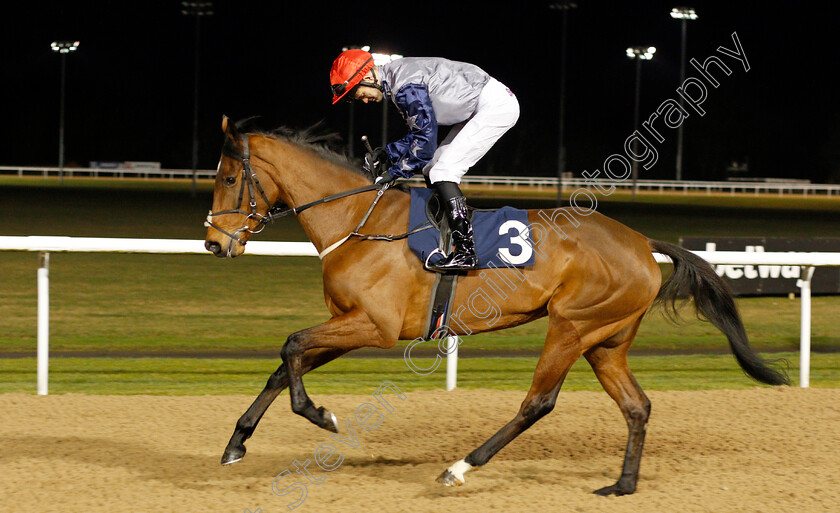 Rgeebee-0001 
 RGEEBEE (David Nolan)
Wolverhampton 20 Jan 2020 - Pic Steven Cargill / Racingfotos.com