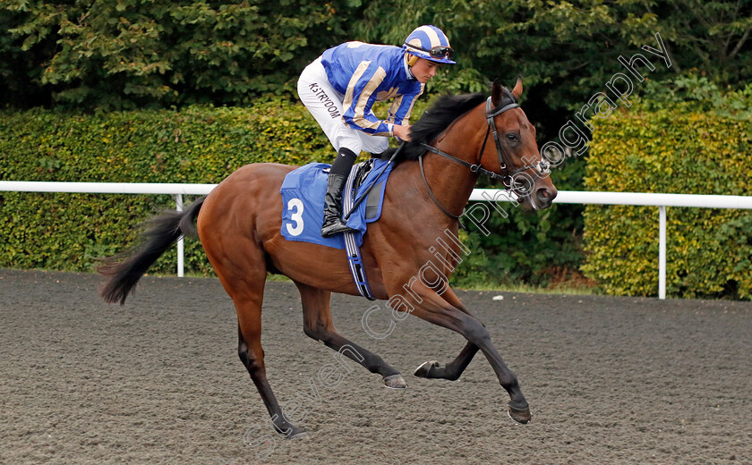 City-Of-Delight-0001 
 CITY OF DELIGHT (Kyle Strydom)
Kempton 8 Sep 2023 - Pic Steven Cargill / Racingfotos.com