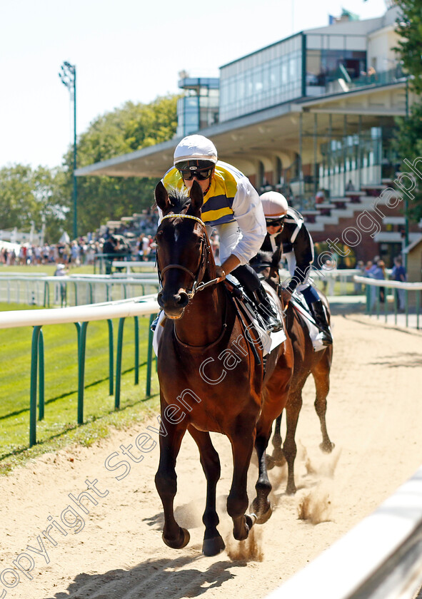 Intuitu-0001 
 INTUITU (Cristian Demuro)
Deauville 7 Aug 2022 - Pic Steven Cargill / Racingfotos.com